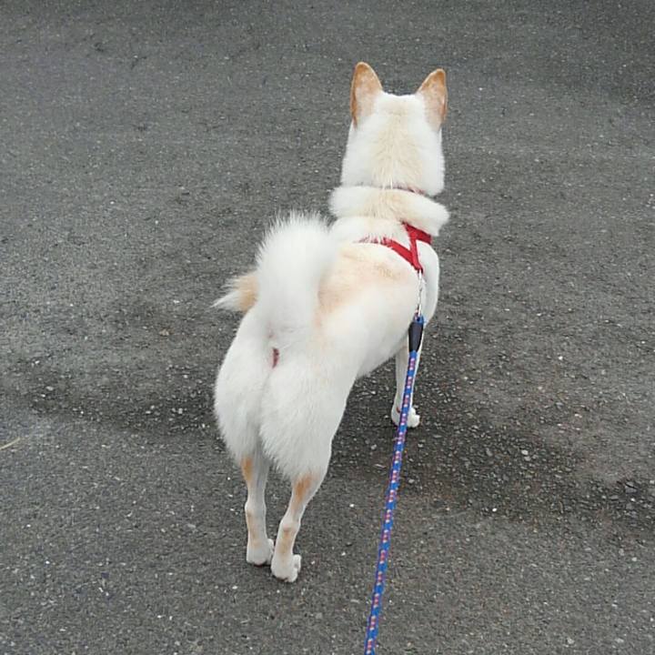 6428d6cd eaf5 4bfc aca1 d45903009382