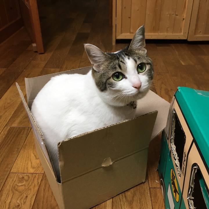 6428f2c1 39d6 4545 a5fc 79ab68268162