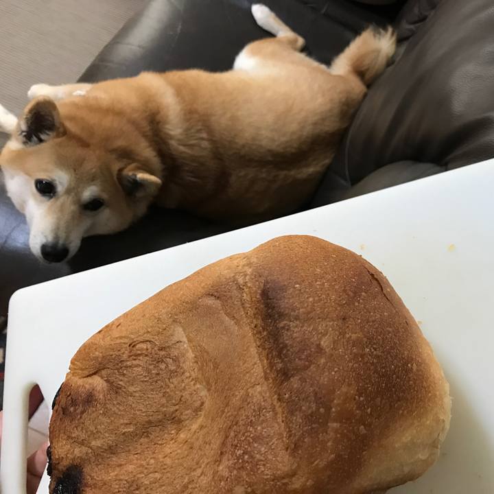 64290bd2 3262 4717 b4a2 9db15f6bc7ca