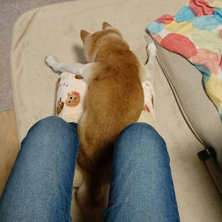 64299e64 c1ea 4f89 88fd de0ebb3982f5