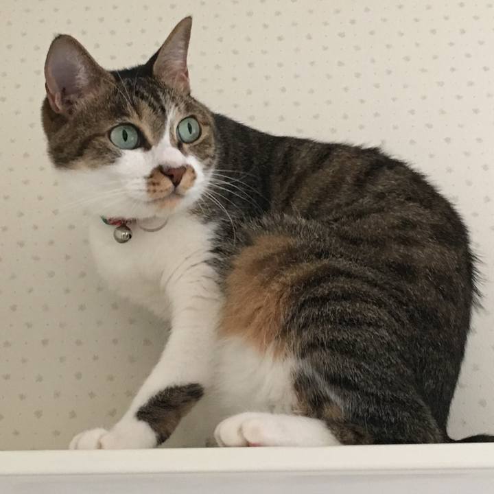 6429a0e8 dd8c 429b ba08 e4a8b397aed7