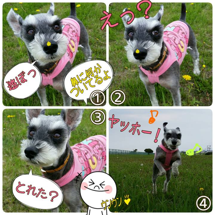 642ae4ec 9012 4632 b681 1cc9dc034b17