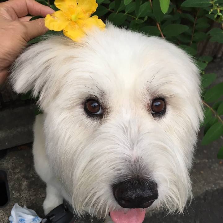 642aebab 312c 41d3 83e0 8bbb7095ec5c