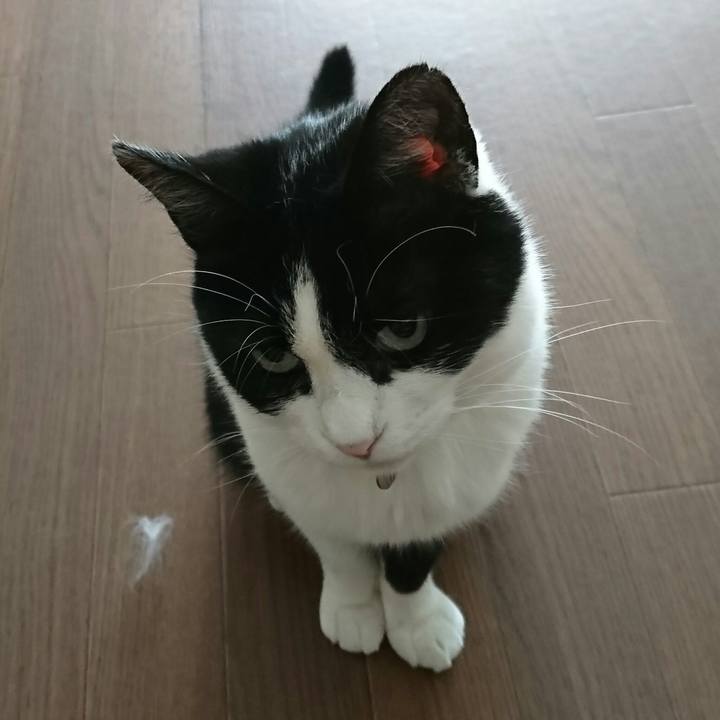 642aecca 9055 4ee3 9f10 4ad8150cf83c