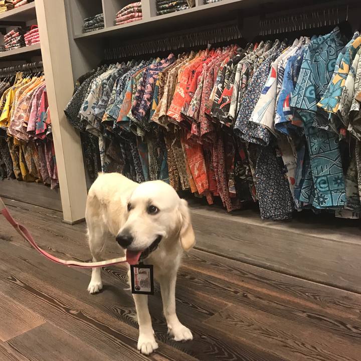 642b8c9d 5fe3 485b 9d3c 1d37286cc7fa