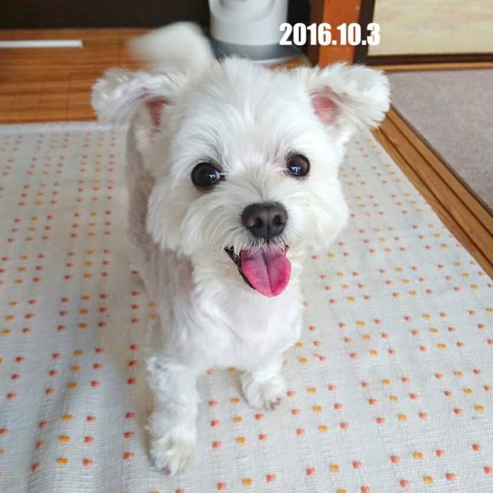 642b9951 3921 4b5d b66e e0501b59777c