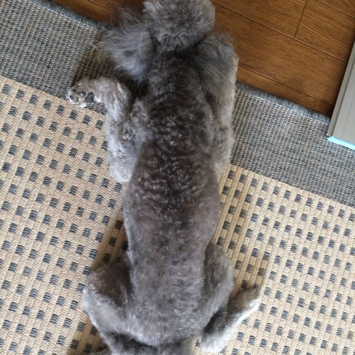 642bcc6d 2717 434e 892e 3302a6543f3f