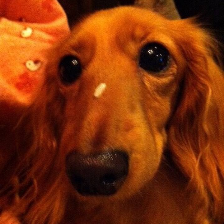 642c10e4 f46b 49fa 9340 d1f20d9a561a