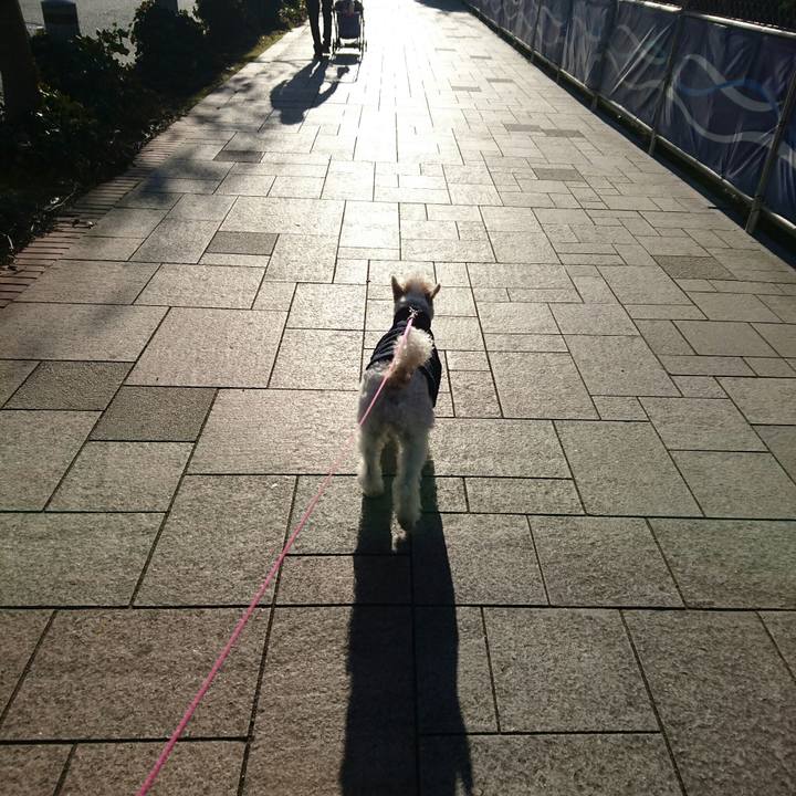 642c2625 8437 488b 9226 604f421687ca