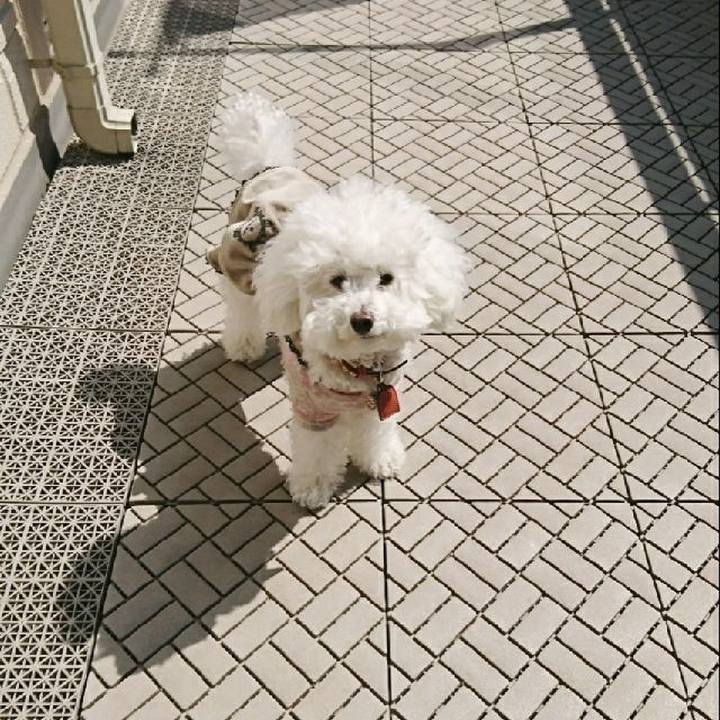 642d8475 4633 45a0 b5f5 4958f807f905