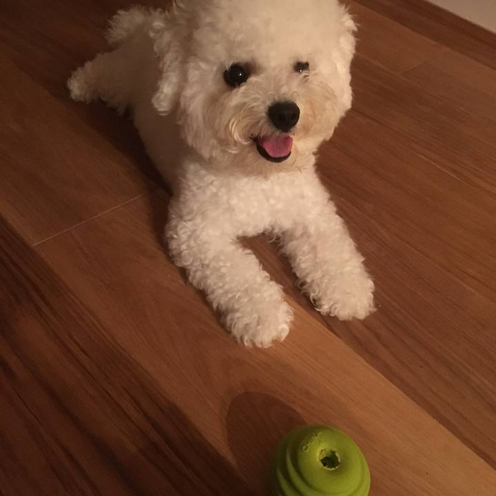 642d8c32 80d6 4fe4 9f1d 8ee348962dfa