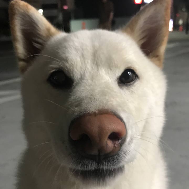 642d95b4 ad21 437e b92a 4527e2998736