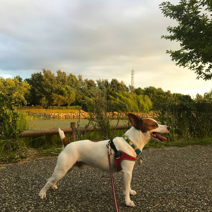 642e0bb5 3d74 41b7 810a 29efd2ac995f