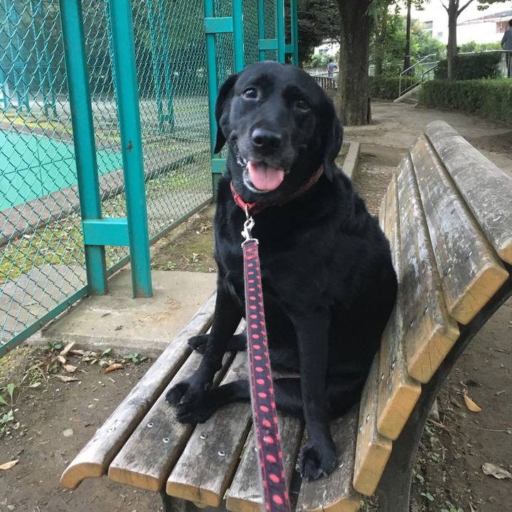 642f8e93 13b4 470c 9b22 e92ef0af438e