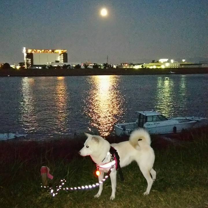 642f9be1 bed1 49be 9a50 8b0d28fd1535