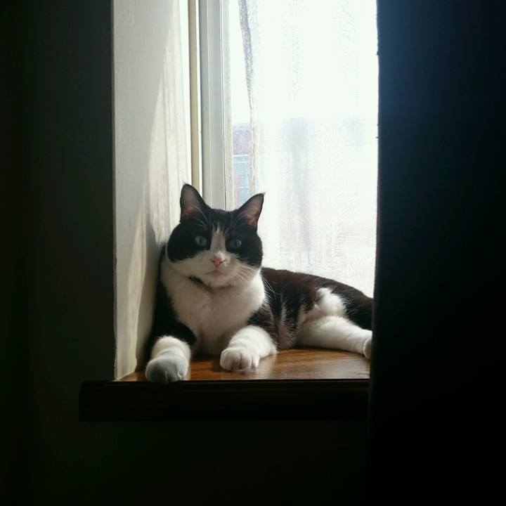 642fc02d a31e 4c99 b62a 198d33c64a62