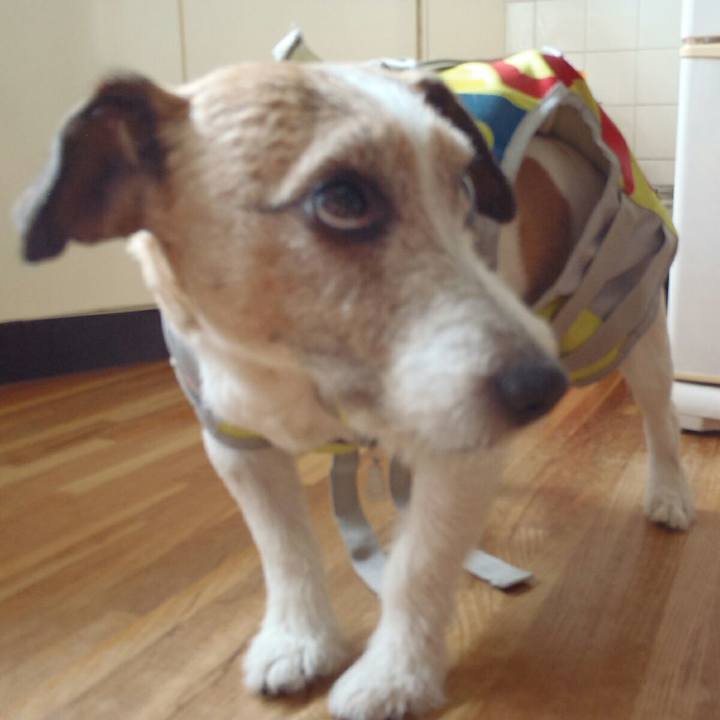 642fc4d9 372d 4639 af1f 6e9903eb978a