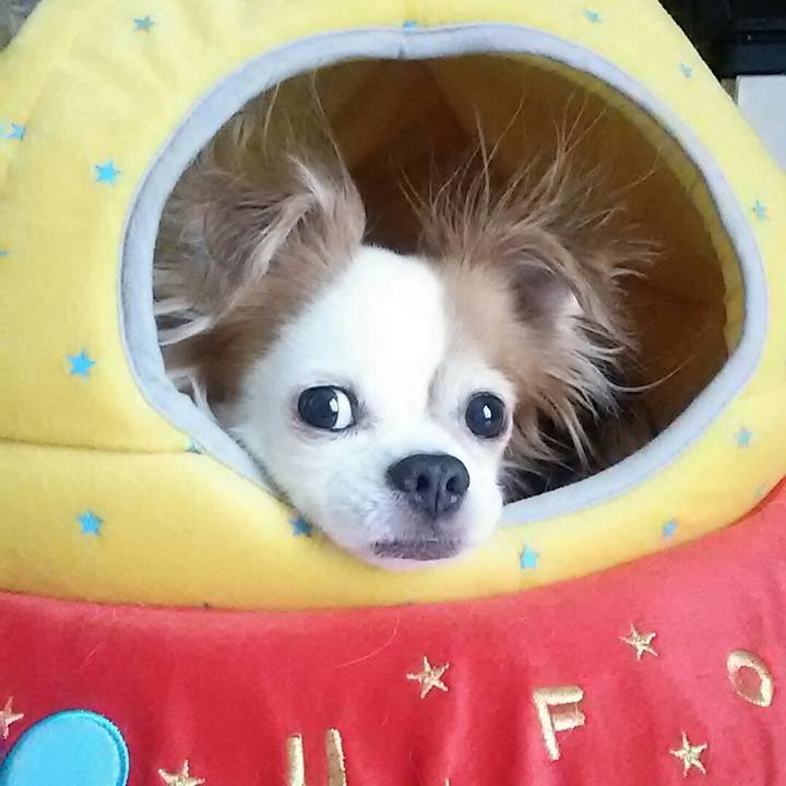 643087c0 4cb8 4f31 87e4 e0945554f05b