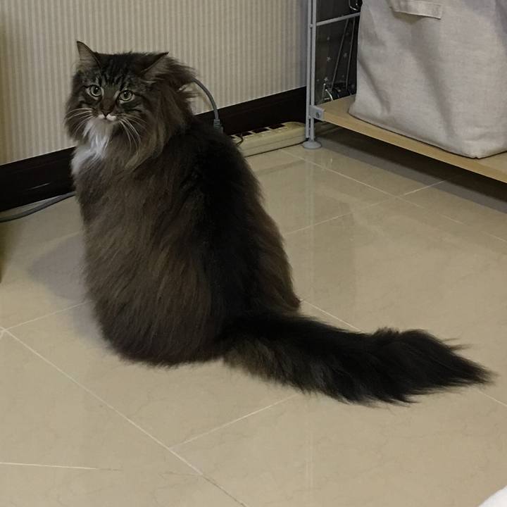 64308d54 f719 4598 8774 3feb4530e51f