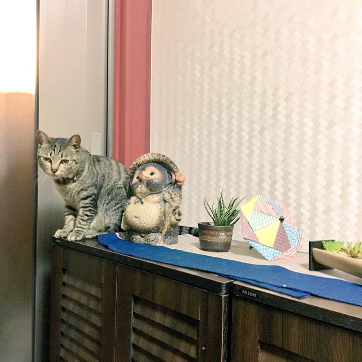 64313339 1d04 47b9 bfde d844275bb165