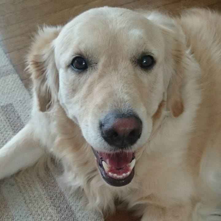 6431737f c154 4b8b 9f16 ada9b34bae18