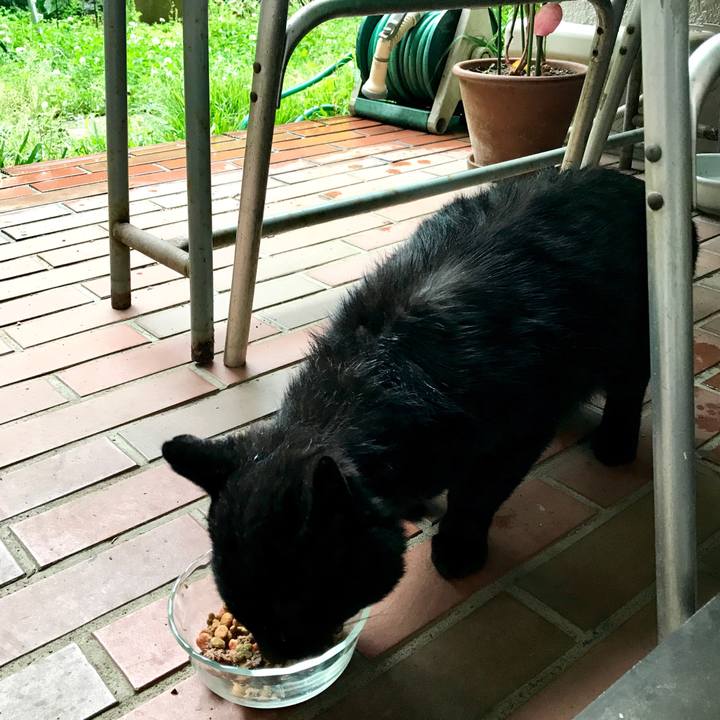 64317471 ba7c 4fbf a716 e05cfa5ceedf