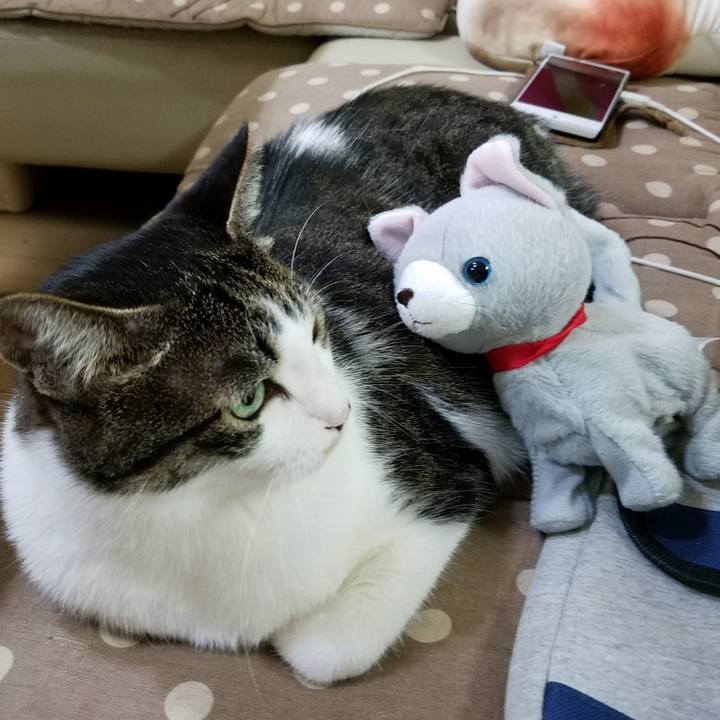 6432bf0f df84 4310 830f a0b2d7ab7512