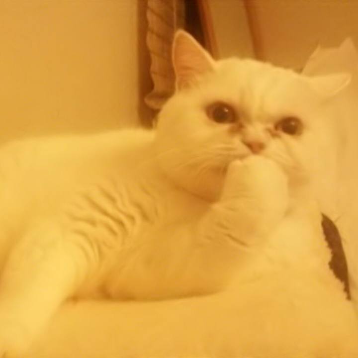 6433058d b22b 4e76 8b3d d1503411dd02