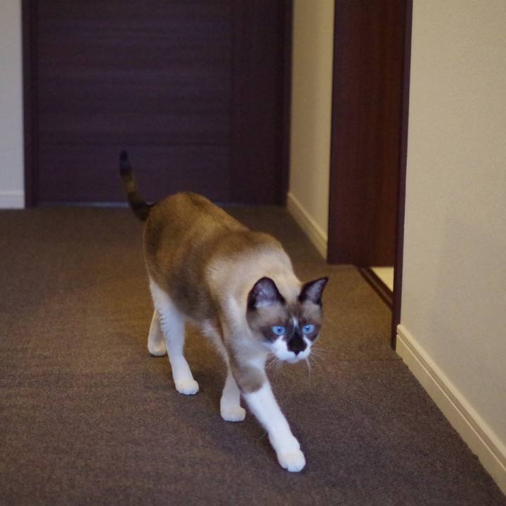 64339a3e ff87 4ba1 9cf8 223ebc8d92e3