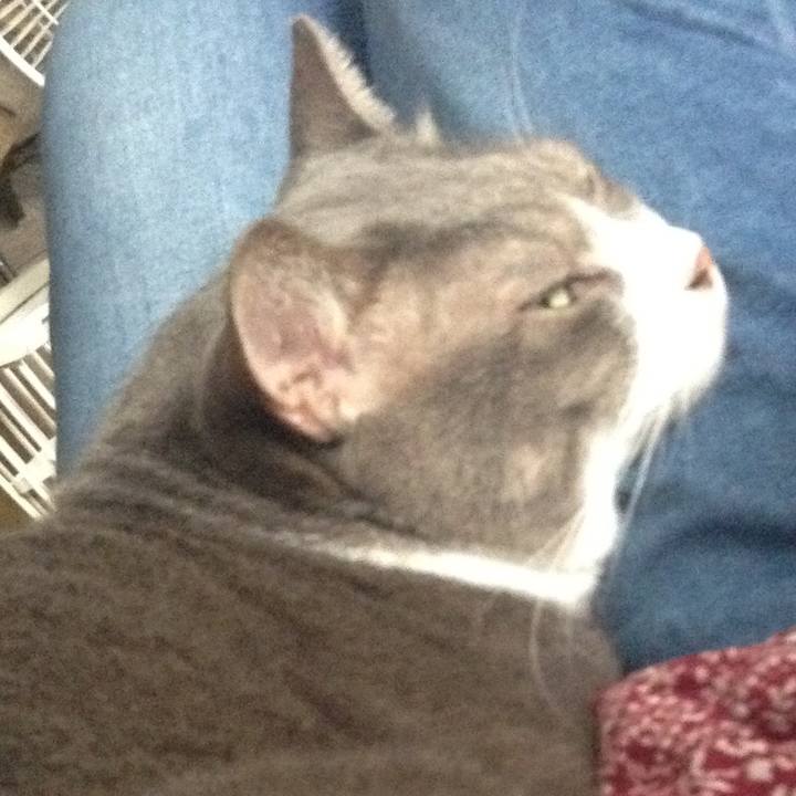 6433a6f7 c159 45e6 8ff4 b0f6671fa9ad