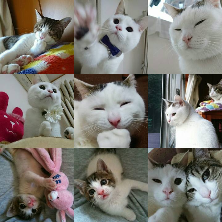 6434602f c484 4b26 a968 0493d0aa21dd