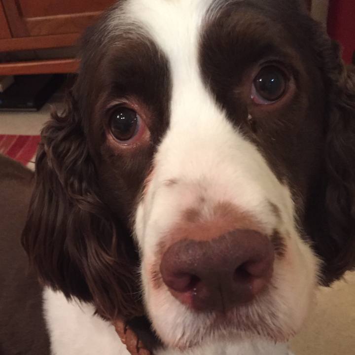 64348146 e9fb 414d bd4d 9732d3279426