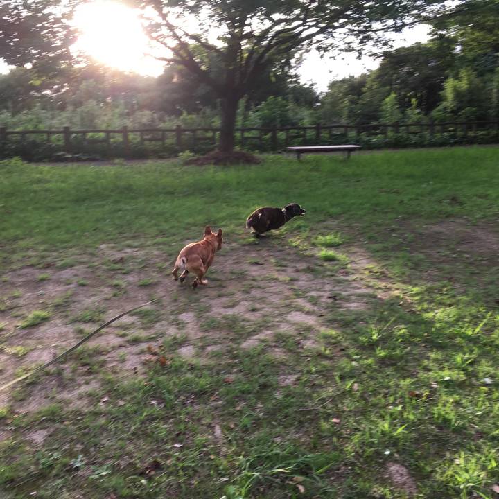 6434b8c4 fef6 41d4 94d5 a656f443a4f8