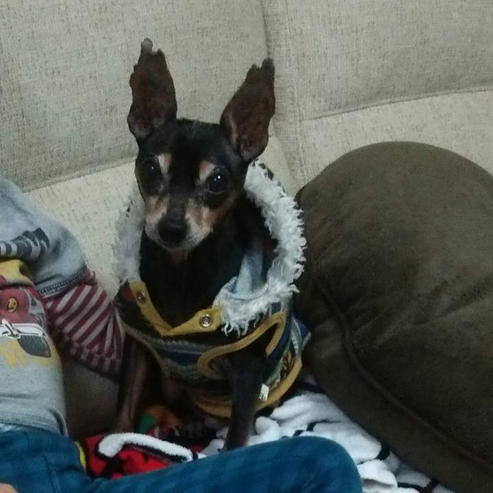 6434b995 5a18 49a4 9452 efe1e1660489