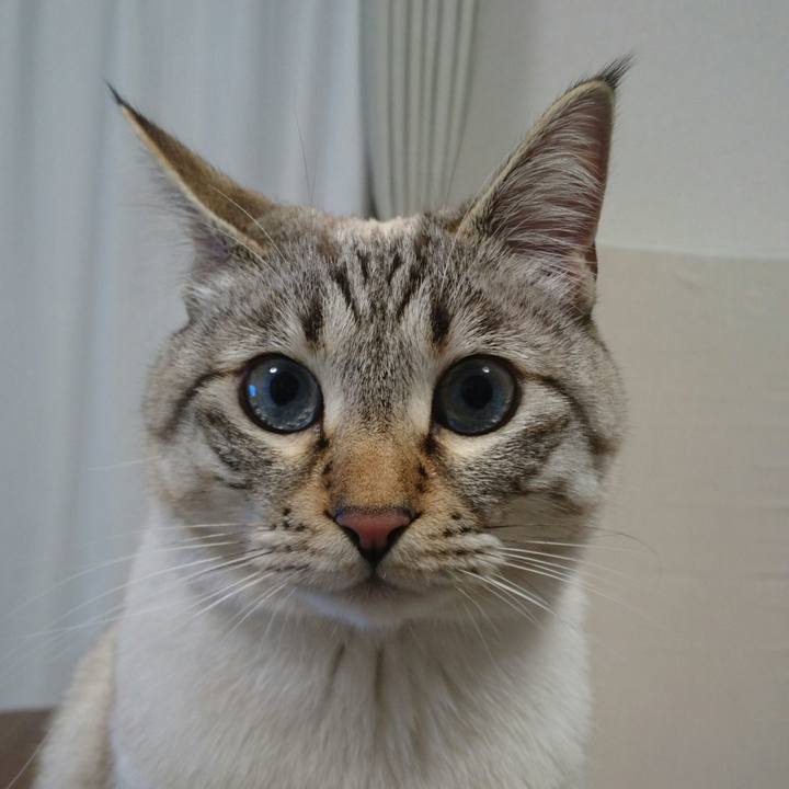 6434e05e 2571 40b4 9910 5b2f2bcedda7