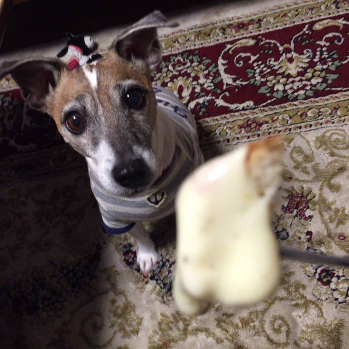 6434e9de 73bb 4007 b175 e216ed03c2d4