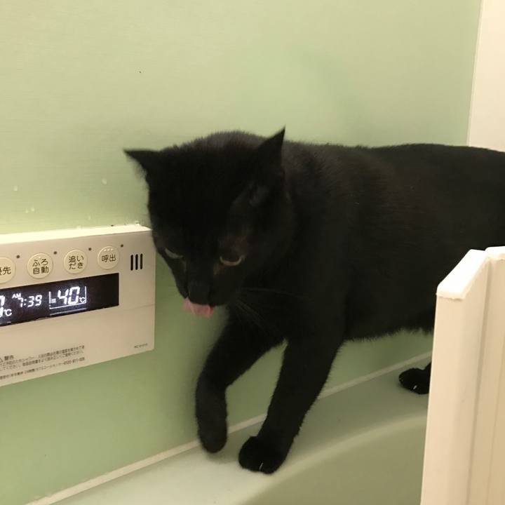 6435114e 3f44 4699 9806 69aff7210ac0