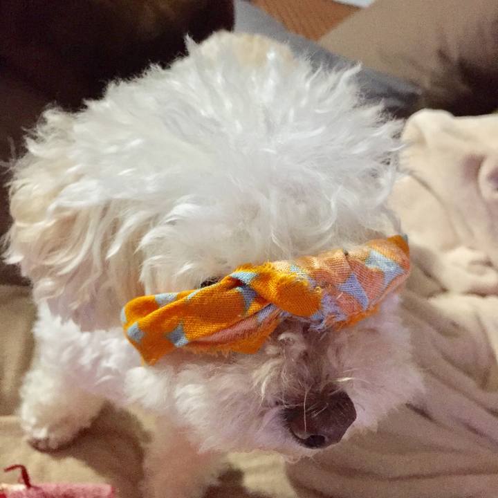 64354bba 380f 4272 9aea 151c2429652c