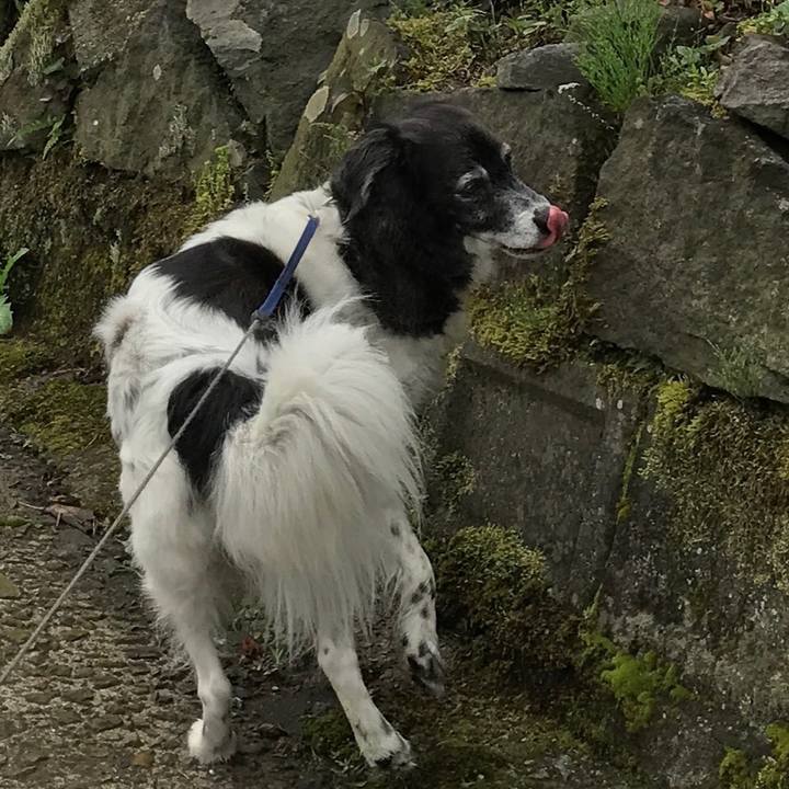 6436007c 05d1 484e b8a5 016604f96d26