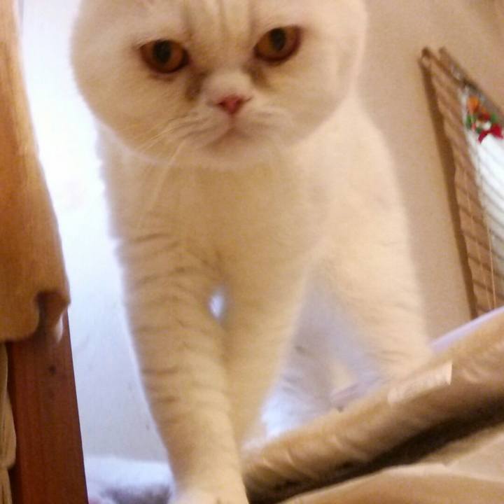 64365938 39c3 4253 a452 2d7689720f97