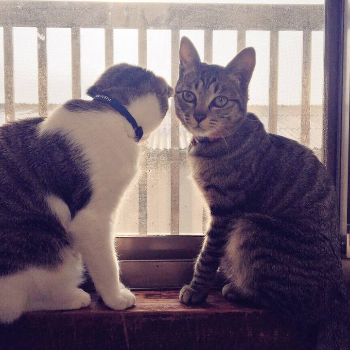 6436ab5e 316a 4d78 88af 70460c67bd4c