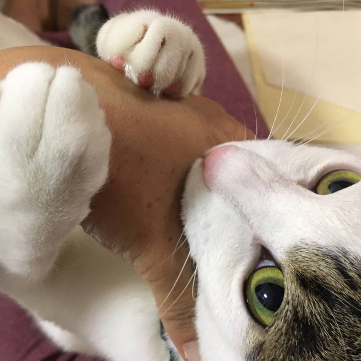 6436d65b 51fe 4278 b294 50ddcfd60729