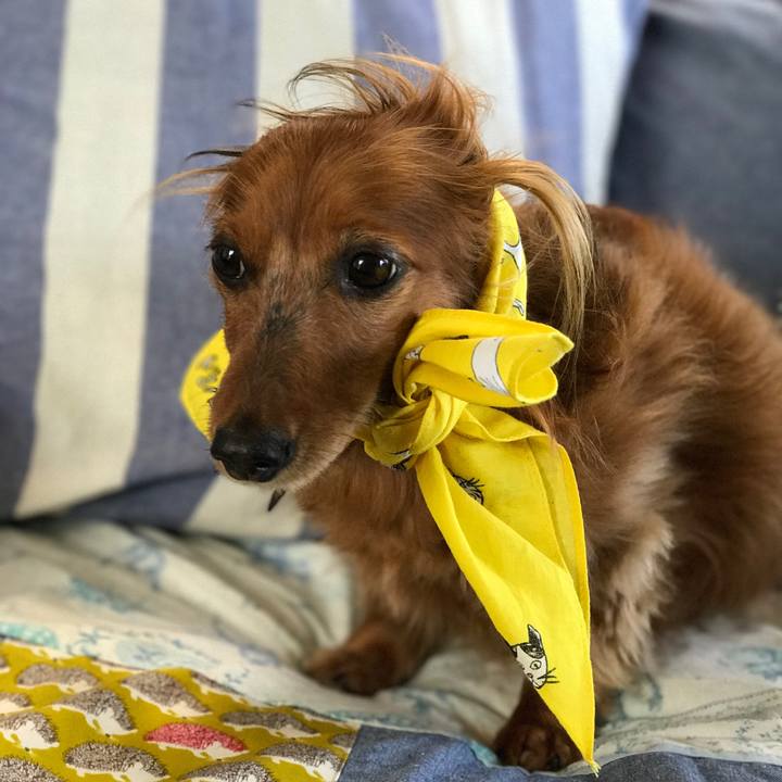 64377c53 66e7 41c4 b52e b949d49743c8