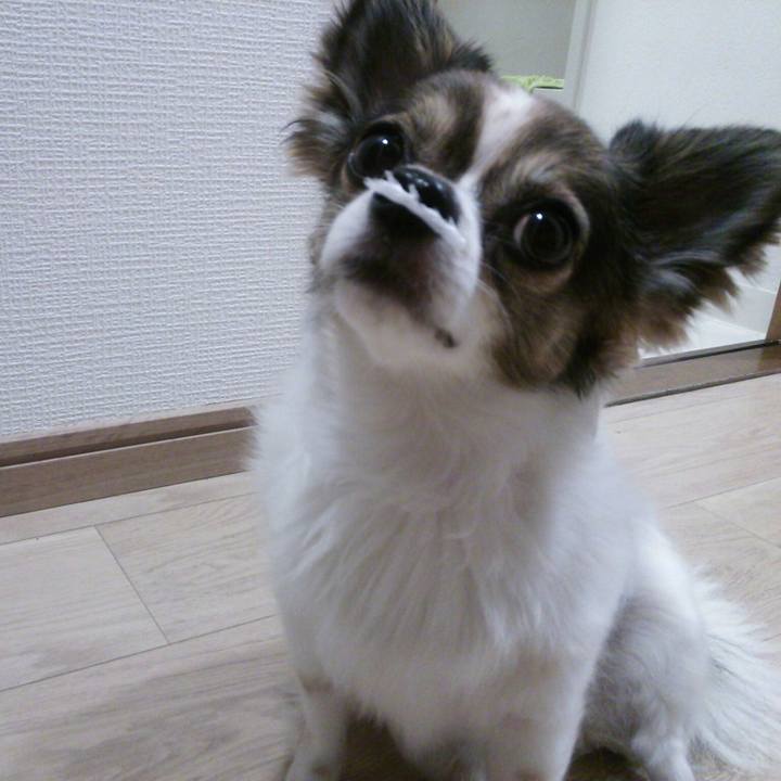 6437a6cb 73c0 45d4 9d67 a625ede3cdcf