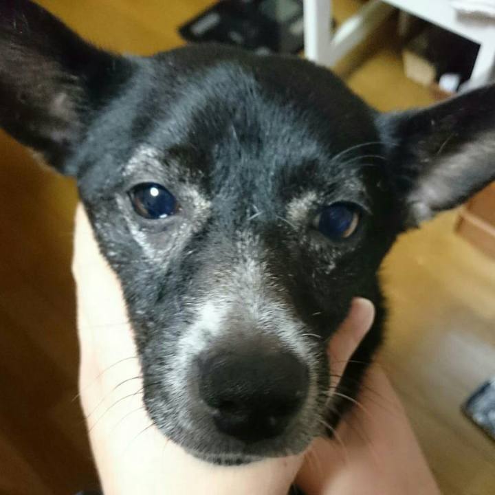 6437bc47 842a 49c9 a452 86ba70f9a908