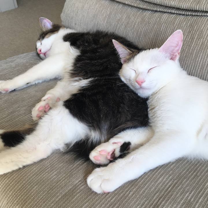 64388091 f01f 402f acba 51aaac65d0fe