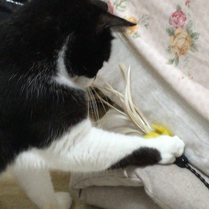 6438befb 6b8f 4f41 a773 2caea78c6fa8