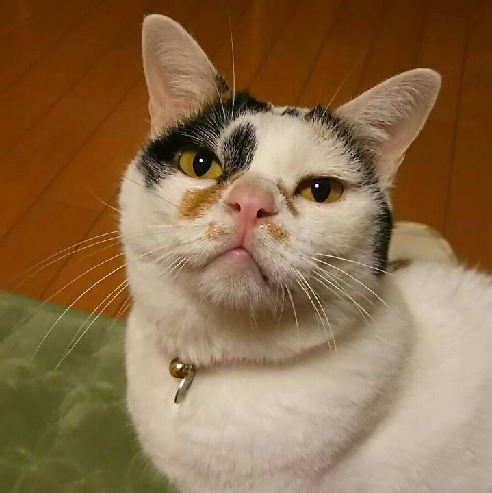 6438c745 5c6d 49f0 b1f1 5f832a4a0645