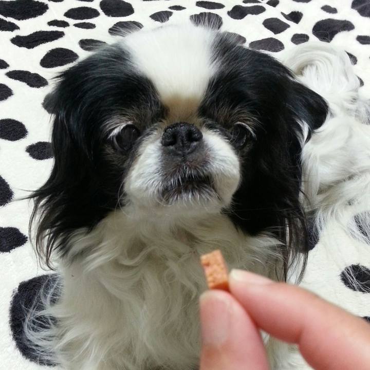 6438d1ba 23ad 4f1c 9112 e84626be733d