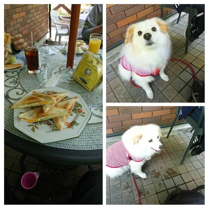 643938a0 c5fa 439d a604 6bc058e7a149